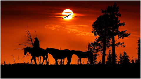 sunset-forest-jumper-horses-4639164