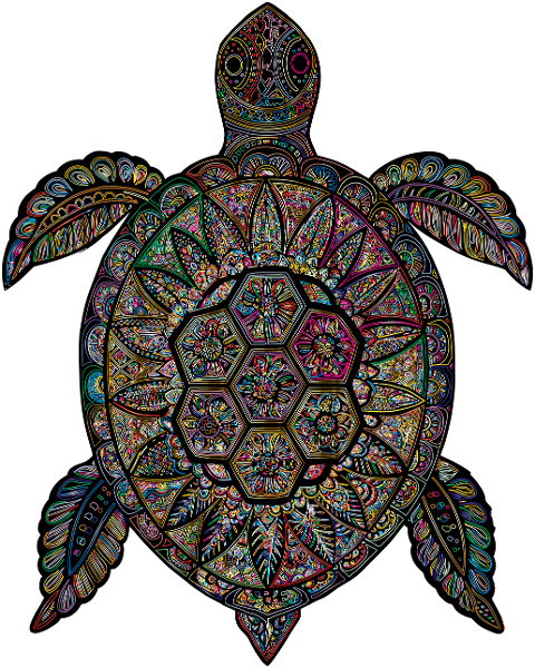 sea-turtle-animal-reptile-wildlife-9556835