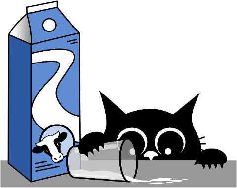 cat-kitten-black-cats-pet-animal-9775961