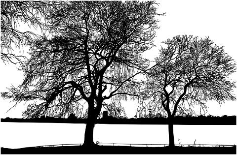 trees-forest-lake-branches-7128781