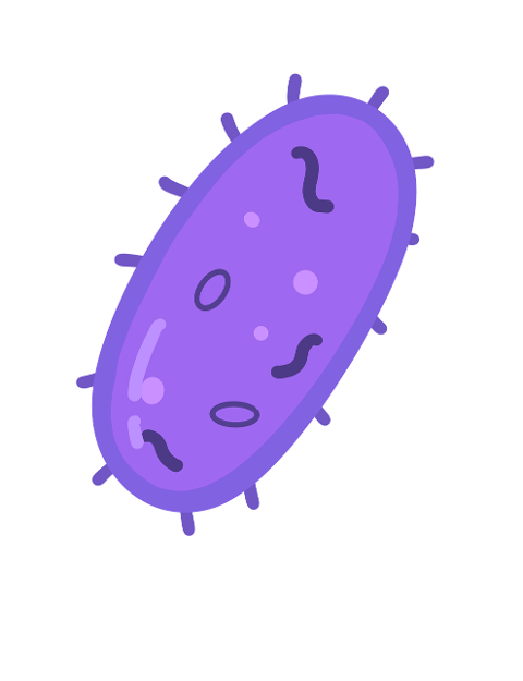 prokaryote-bacteria-microbiology-6258214
