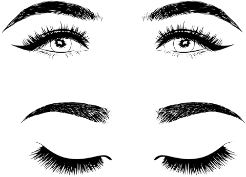 eyes-line-art-women-s-eyes-lashes-5019555