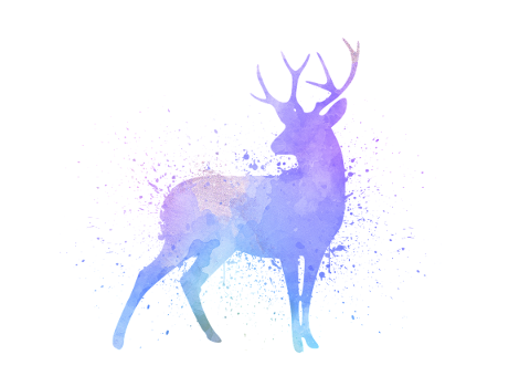 stag-dear-watercolour-watercolor-5078652