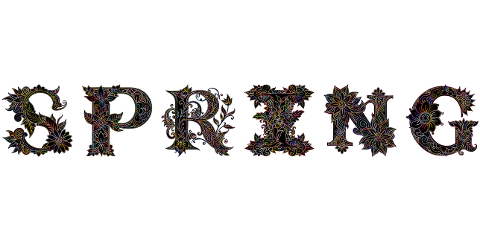 spring-seasons-typography-flowers-9853821