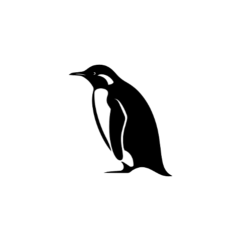 penguin-silhouette-chick-bird-icon-10112349