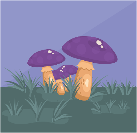 mushrooms-plant-moss-fungi-fungus-7019971