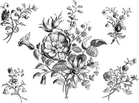 flowers-plants-floral-decorative-5941662