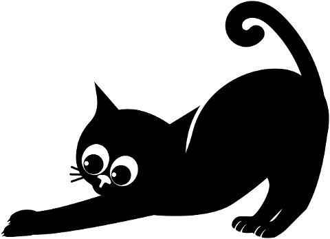 cat-kitten-black-cat-feline-cute-8801330