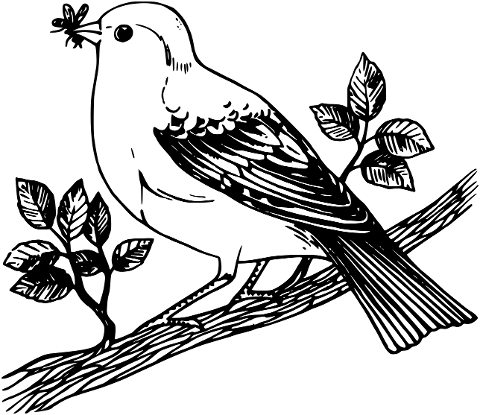 bird-perched-animal-nature-6704760