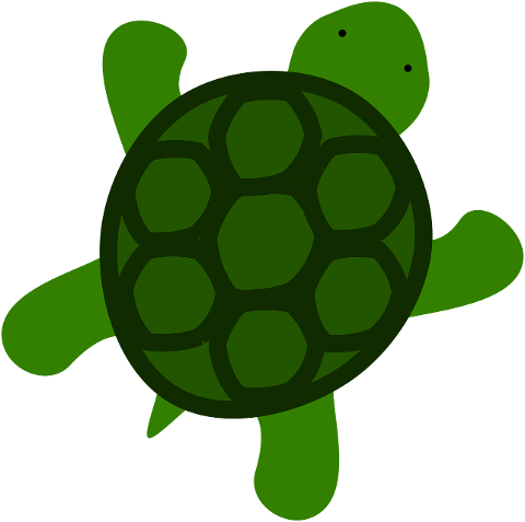 tortoise-tortoise-shell-green-8352470