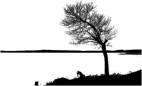 tree-silhouette-lake-branches-7185221