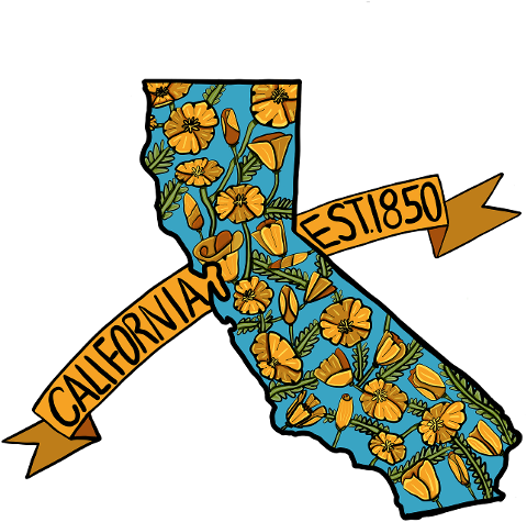 flowers-poppies-floral-banner-7084924