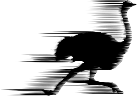 ostrich-running-fast-silhouette-6095445