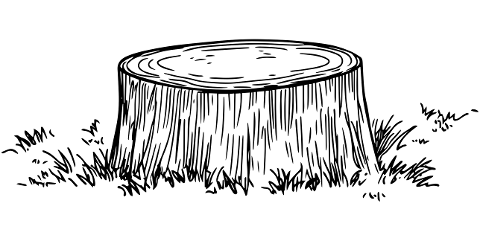 trunk-stump-tree-wood-jars-forest-10028191