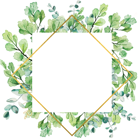 leaves-foliage-frame-banner-green-6745949