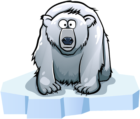 bear-polar-ice-floe-shaggy-animal-7718312