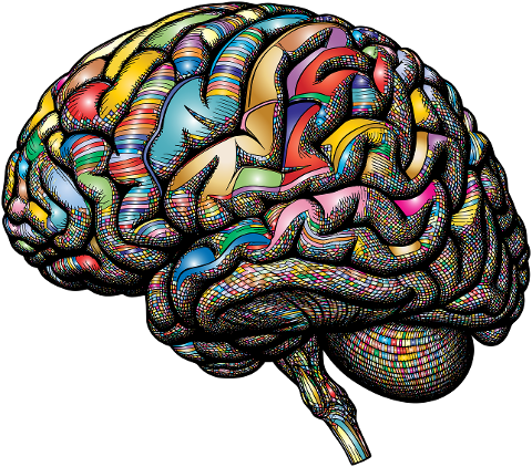 brain-mind-psychology-mental-health-9026012