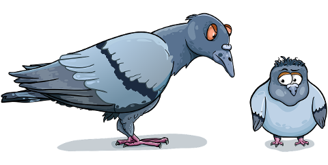 birds-pigeons-cartoon-crows-7884778