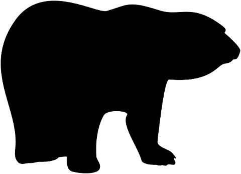 bear-silhouette-mammal-animal-7293194