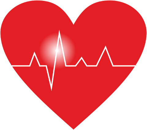 heart-pulse-beating-health-5992758
