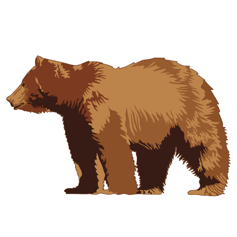bear-animal-wildlife-grizzly-bear-6046642