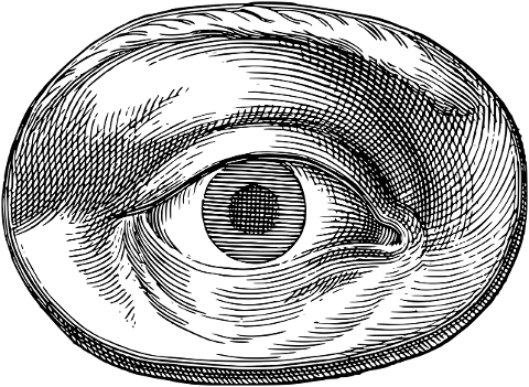 eye-visual-line-art-optical-seeing-7384734