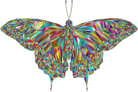 butterfly-low-poly-geometric-7058826