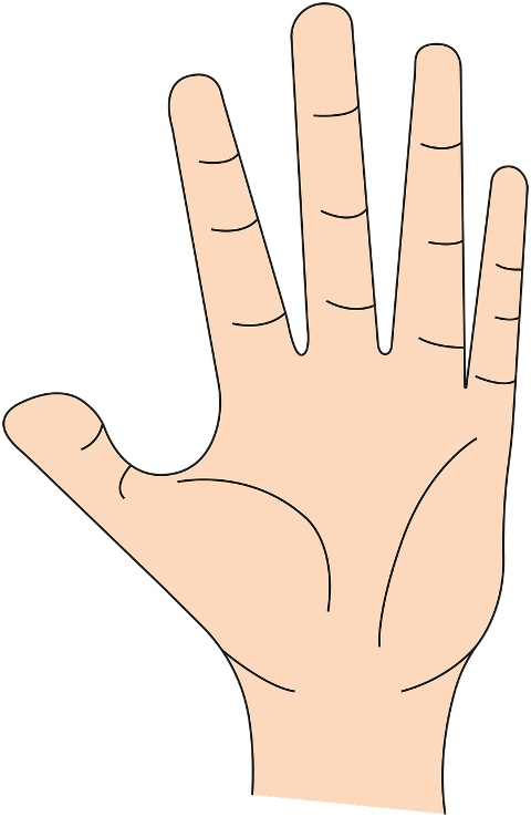 hand-fingers-palm-cutout-drawing-6595227