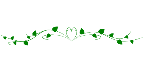 ornament-heading-nature-bay-2019452