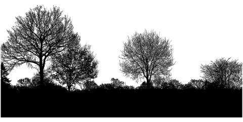 trees-forest-silhouette-landscape-8086109