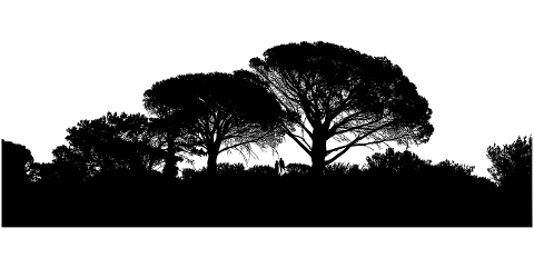 couple-landscape-silhouette-forest-7194317