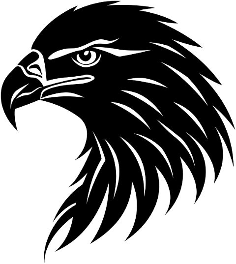 ai-generated-eagle-head-bird-8495159