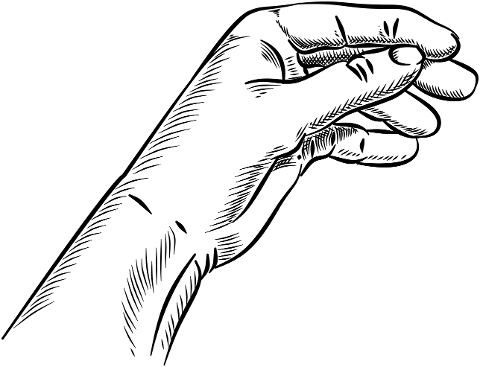 hand-palm-fingers-line-art-path-8758583