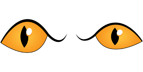 eyes-eyebrow-iris-cutout-drawing-6783118