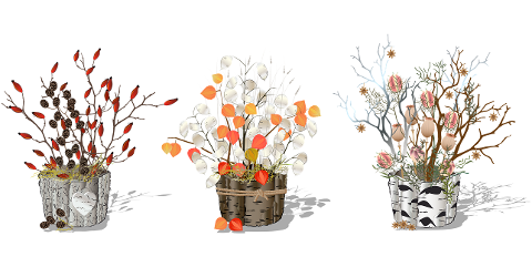 money-plant-plants-flower-pots-7001696
