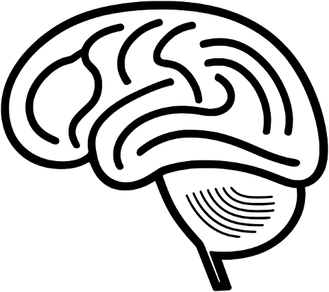 brain-mind-thoughts-psychology-9359620