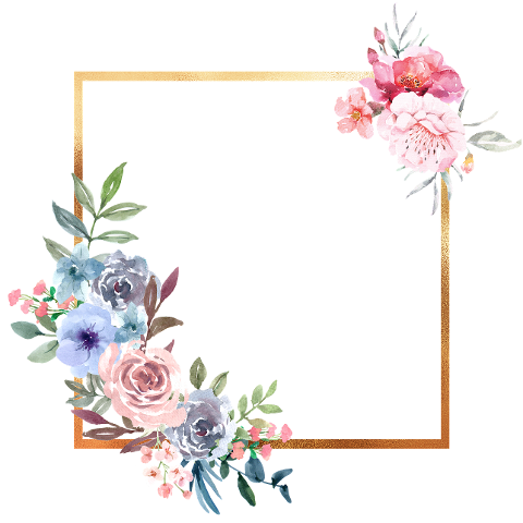 flowers-frame-floral-frame-border-6616124