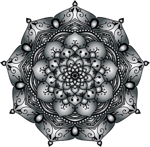 mandala-floral-flourish-abstract-7756262