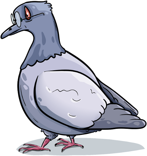 pigeon-bird-glasses-gray-winged-7896697