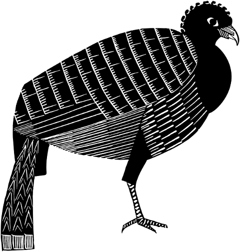 bird-fowl-animal-line-art-vintage-7148311