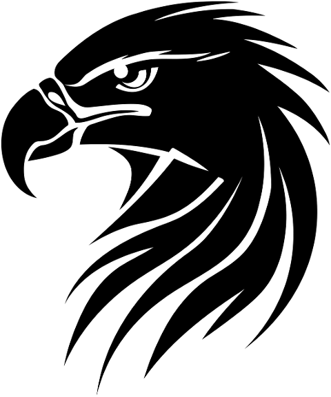 ai-generated-eagle-bird-wildlife-8495179