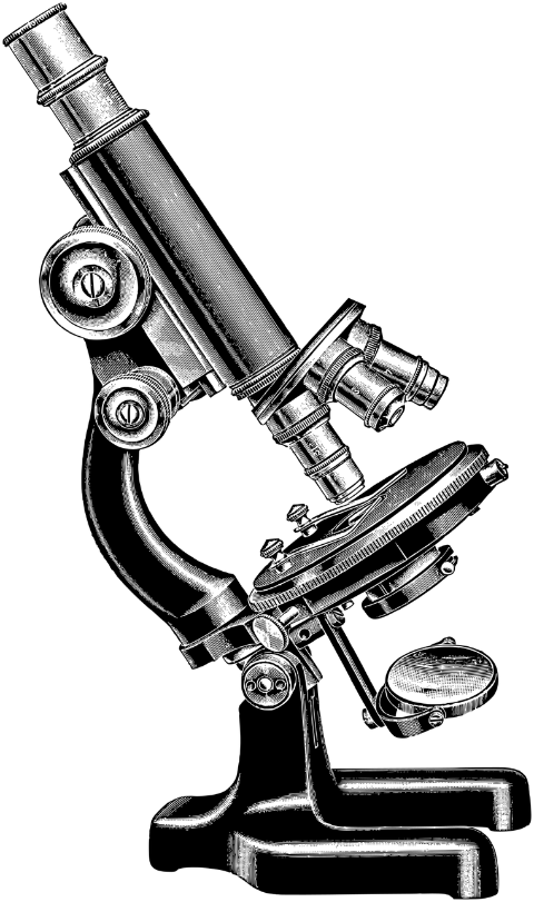 microscope-magnify-line-art-science-7290145