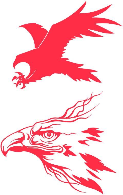 birds-hawks-eagles-logo-icon-7431716