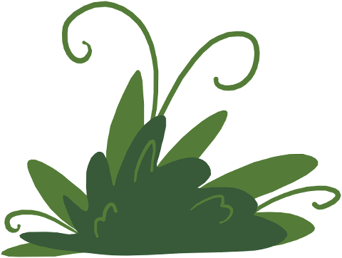 small-bush-bush-green-nature-plant-9746656