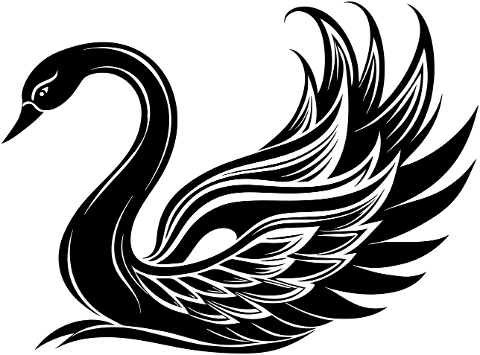 swan-bird-animal-ornithology-water-8799289