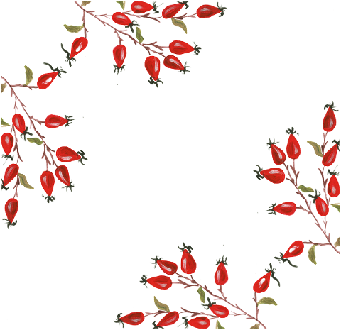 rose-hip-frame-border-art-design-6856717