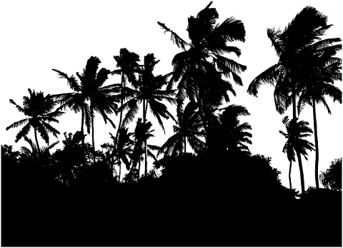 palm-trees-landscape-silhouette-7717195