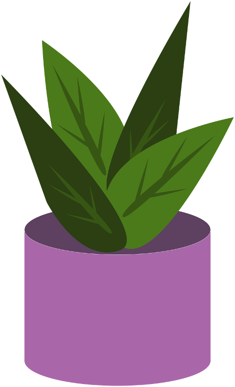 plant-pot-botany-drawing-sketch-6957247