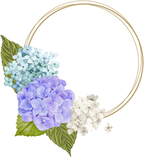 flowers-frame-floral-frame-border-6640052
