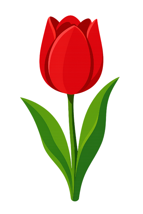 red-tulip-flower-illustration-10298253